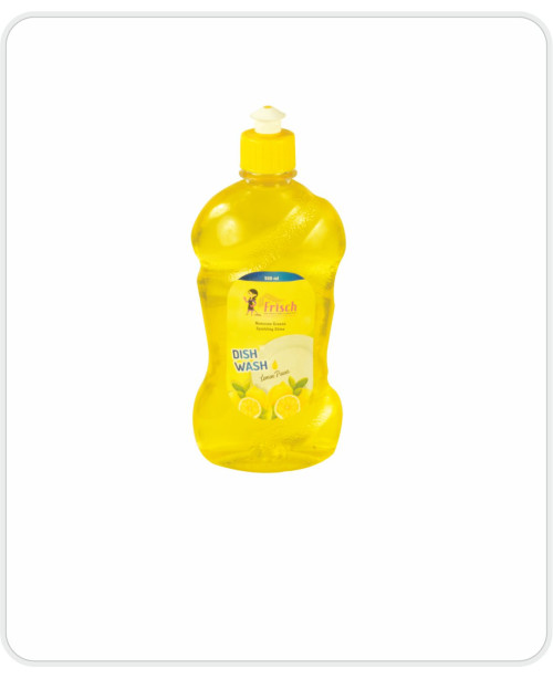 DISH WASH 500 ML