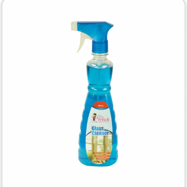 169 - GLASS CLEANER 500 ML