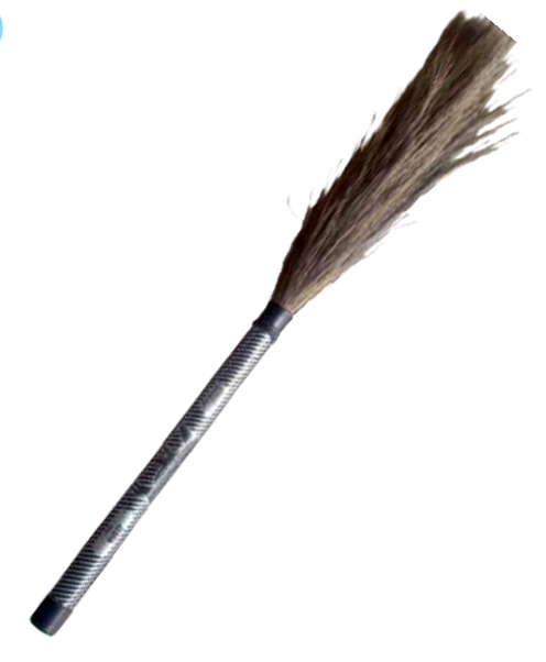 BROOM ZEBRA